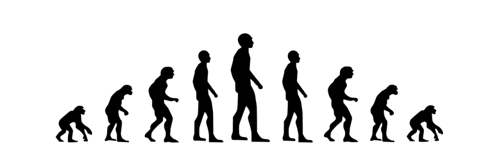 Dpp Změny